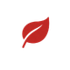 <strong>Vegano</strong>